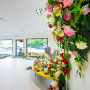 Décorations florales dans un espace d'accueil Alain Hoffarth